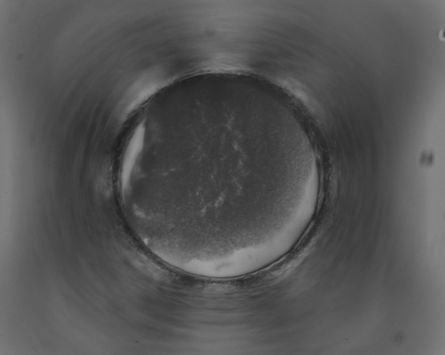 X0000092081306200710101032