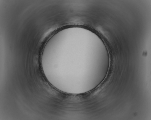 X0000092081307200710101032