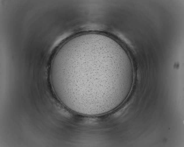 X0000092081309200710101032