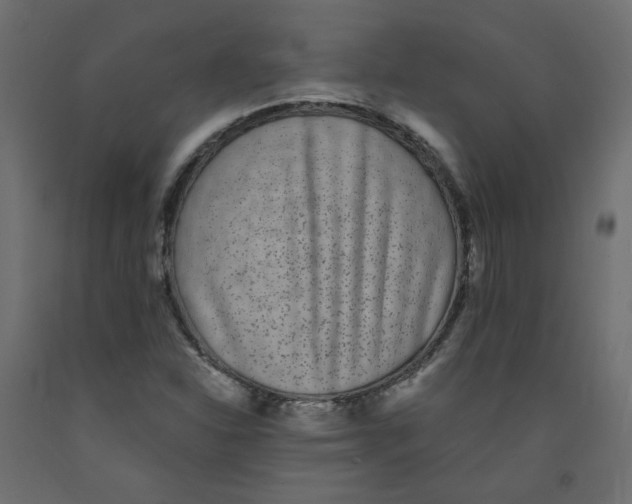 X0000092081310200710101032