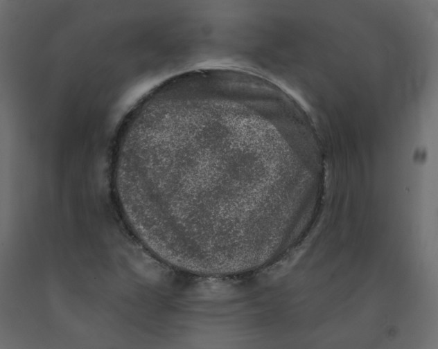 X0000092081311200710101032