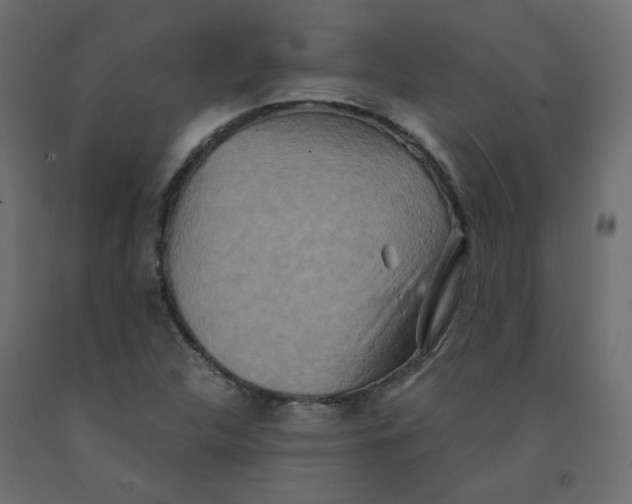 X0000092081312200710101032