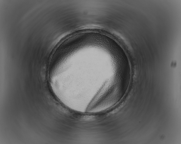 X0000092081313200710101032