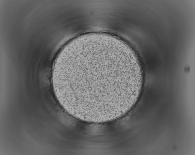 X0000092081314200710101032