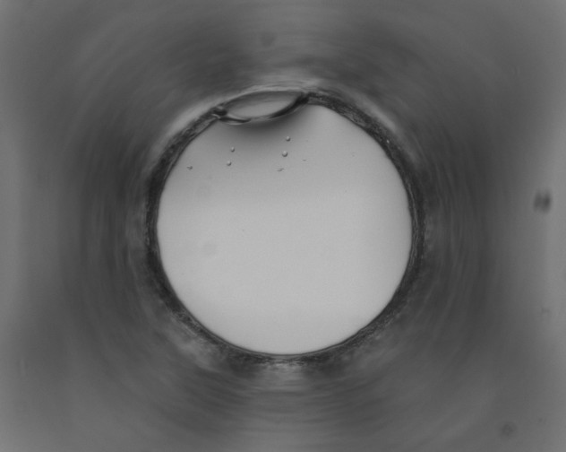 X0000092081315200710101032