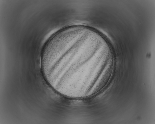 X0000092081317200710101032