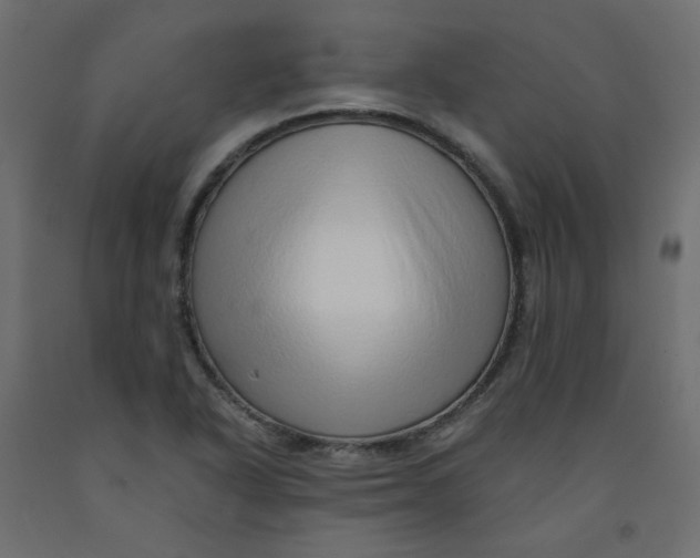 X0000092081318200710101032