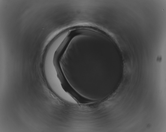 X0000092081319200710101032