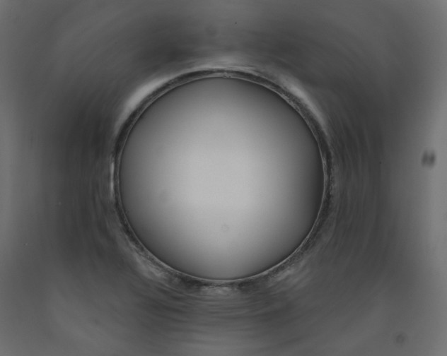 X0000092081320200710101032