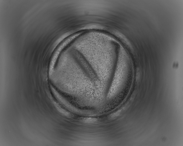 X0000092081321200710101032