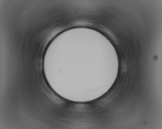 X0000092081322200710101032