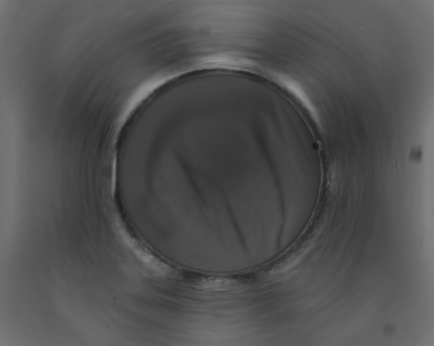 X0000092081323200710101032