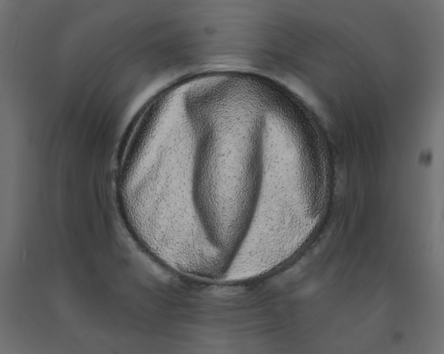 X0000092081325200710101032