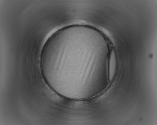 X0000092081326200710101032