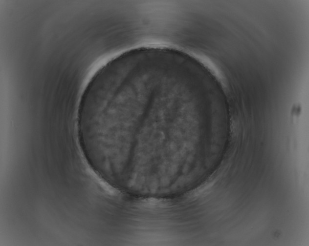 X0000092081327200710101032