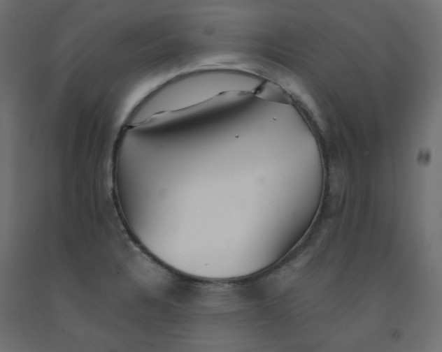 X0000092081328200710101032