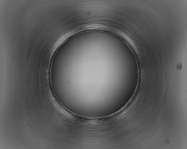 X0000092081330200710101032