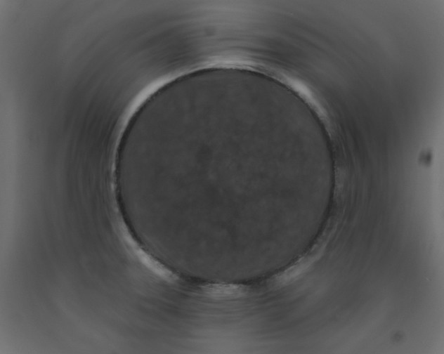 X0000092081331200710101032