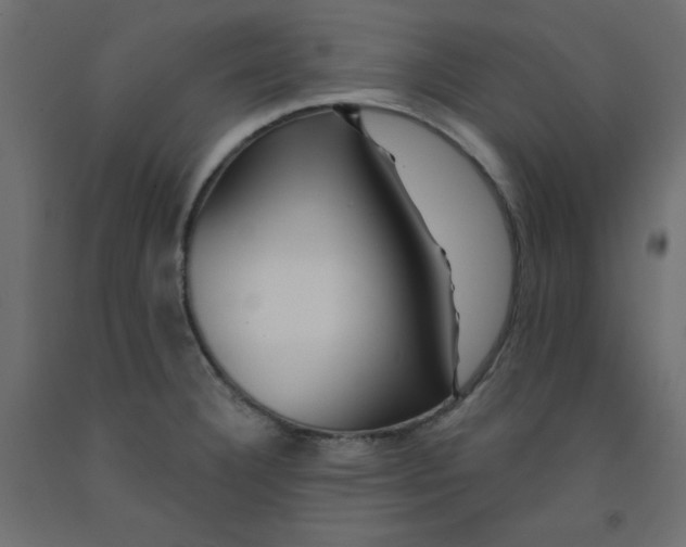 X0000092081332200710101032