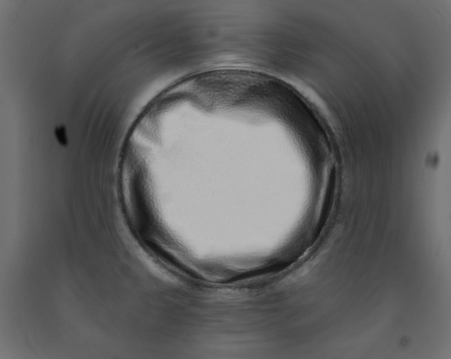 X0000092081333200710101032