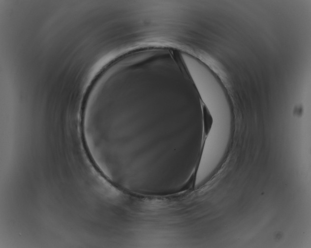 X0000092081334200710101032