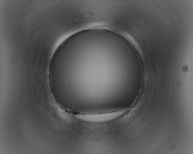 X0000092081336200710101032