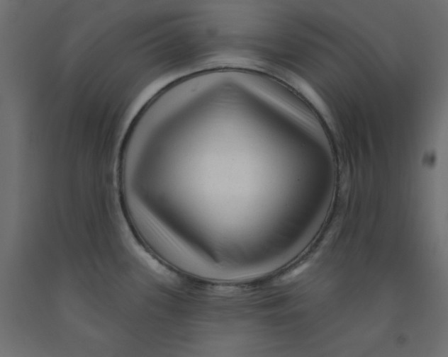 X0000092081339200710101032