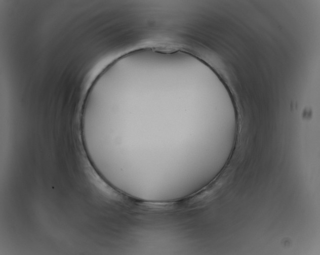 X0000092081344200710101032