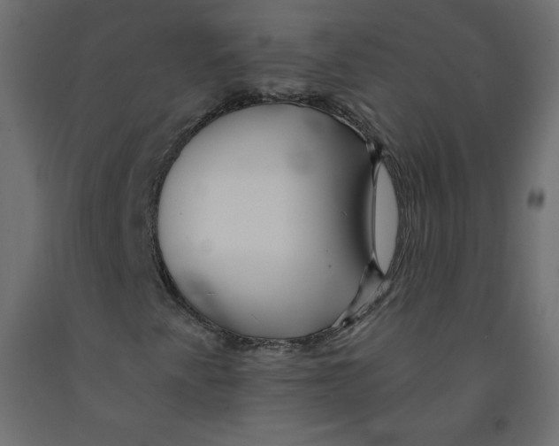 X0000092081345200710101031