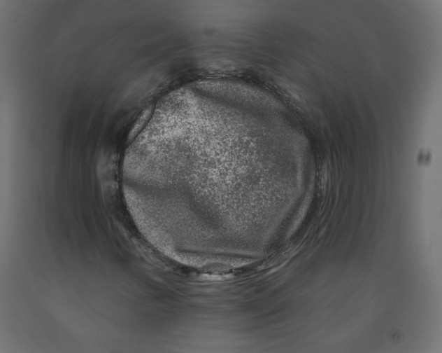 X0000092081346200710101031