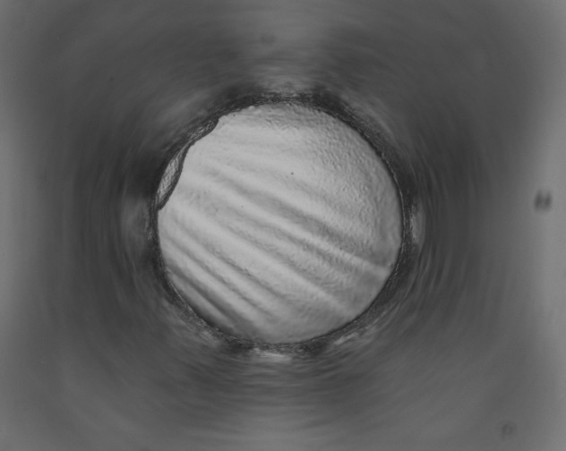 X0000092081347200710101031