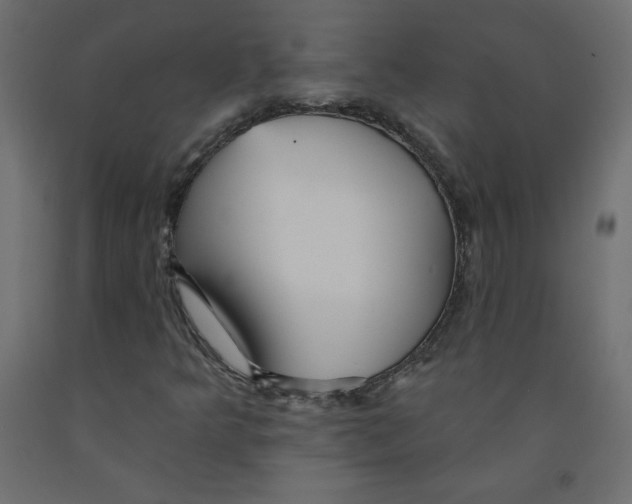 X0000092081349200710101031