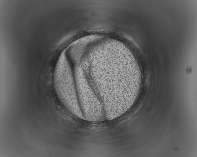 X0000092081350200710101031