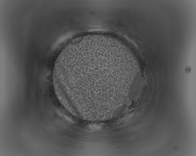 X0000092081351200710101031