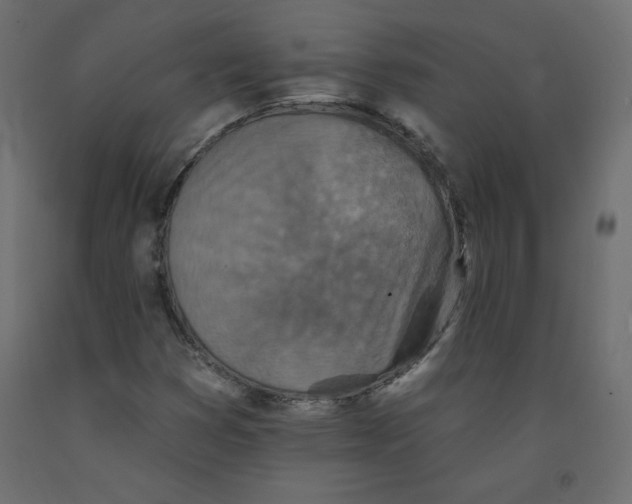 X0000092081353200710101031