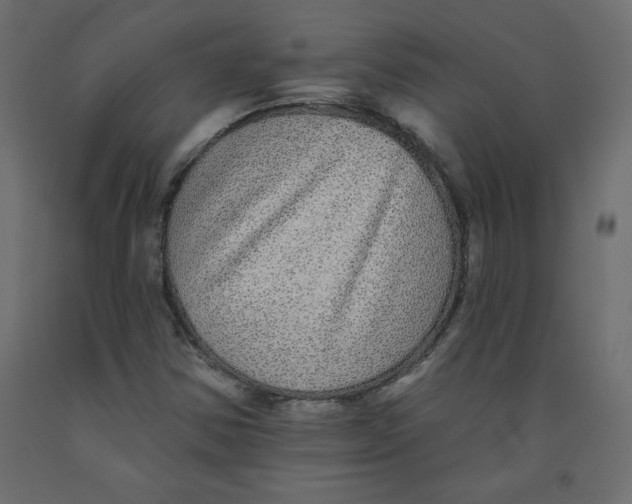 X0000092081354200710101031