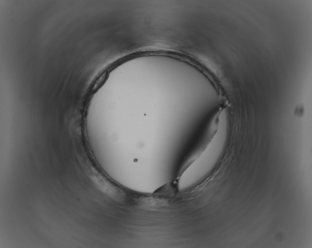 X0000092081356200710101031