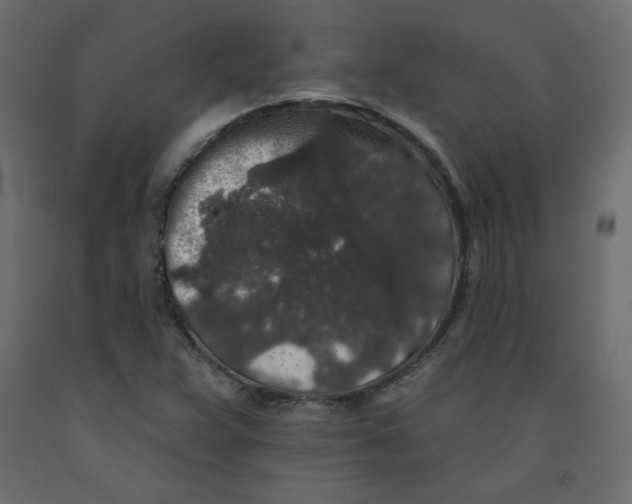 X0000092081359200710101031