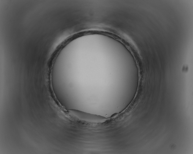 X0000092081360200710101031