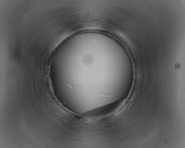 X0000092081361200710101031