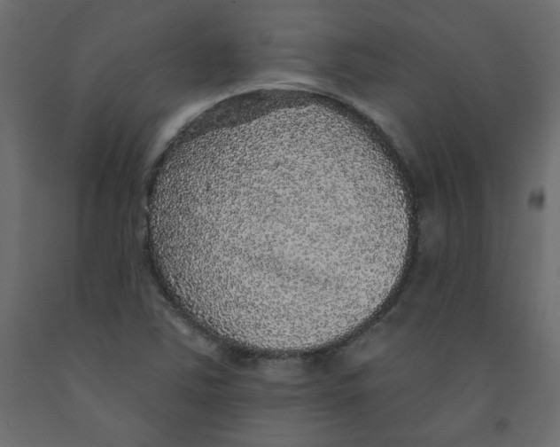 X0000092081363200710101031