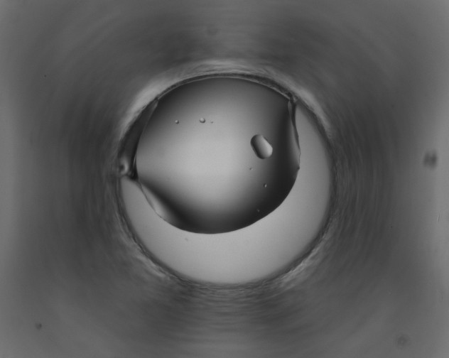 X0000092081365200710101031