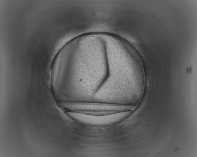 X0000092081366200710101031