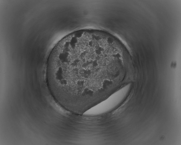 X0000092081367200710101031