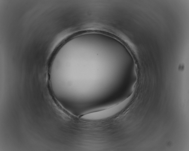 X0000092081368200710101031