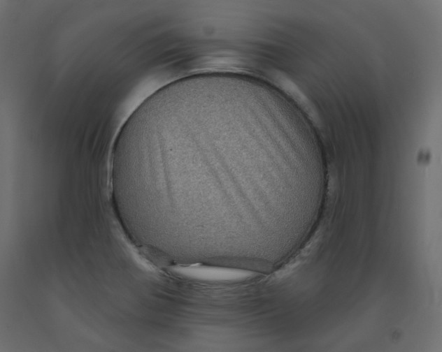 X0000092081370200710101031