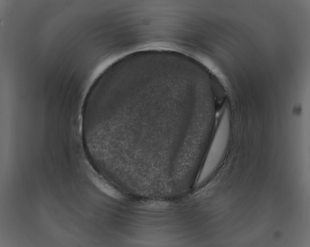 X0000092081372200710101031