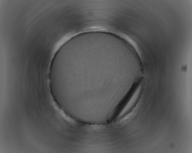 X0000092081373200710101031