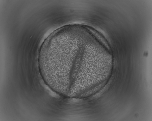 X0000092081374200710101031