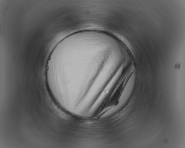 X0000092081375200710101031